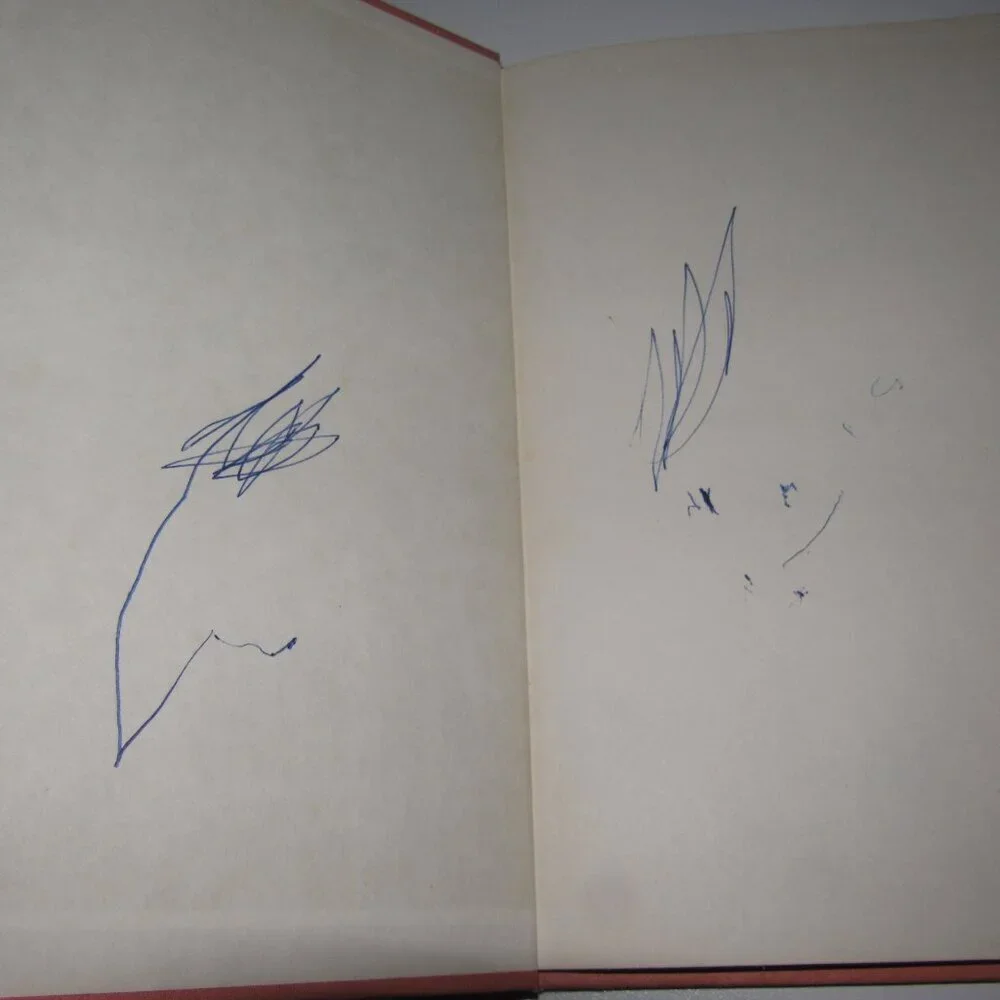 Vintage Catundra Hardcover Picture Book │ Serendipity | Cosgrove